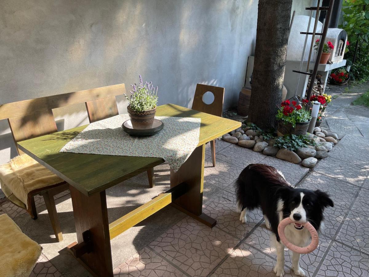 Garden House Nyaraló